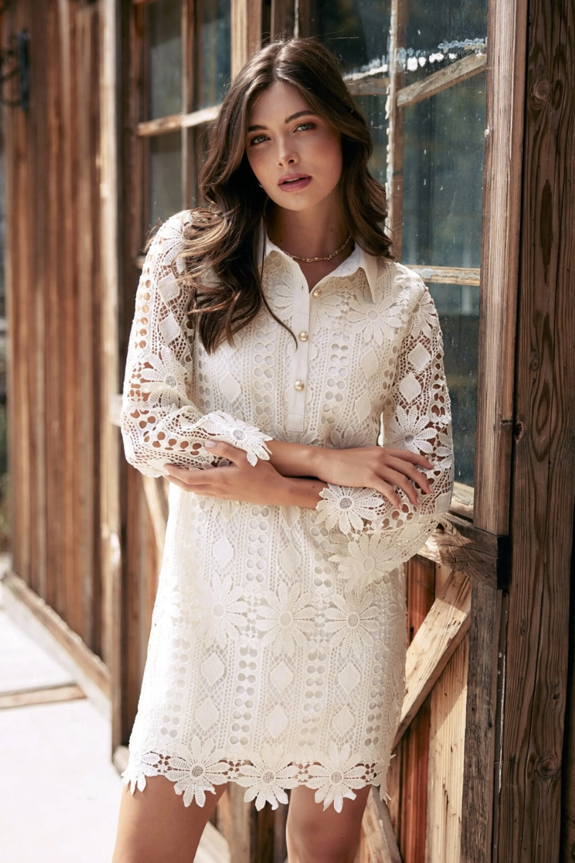 Embroidered Eyelet Lace Mini Dress