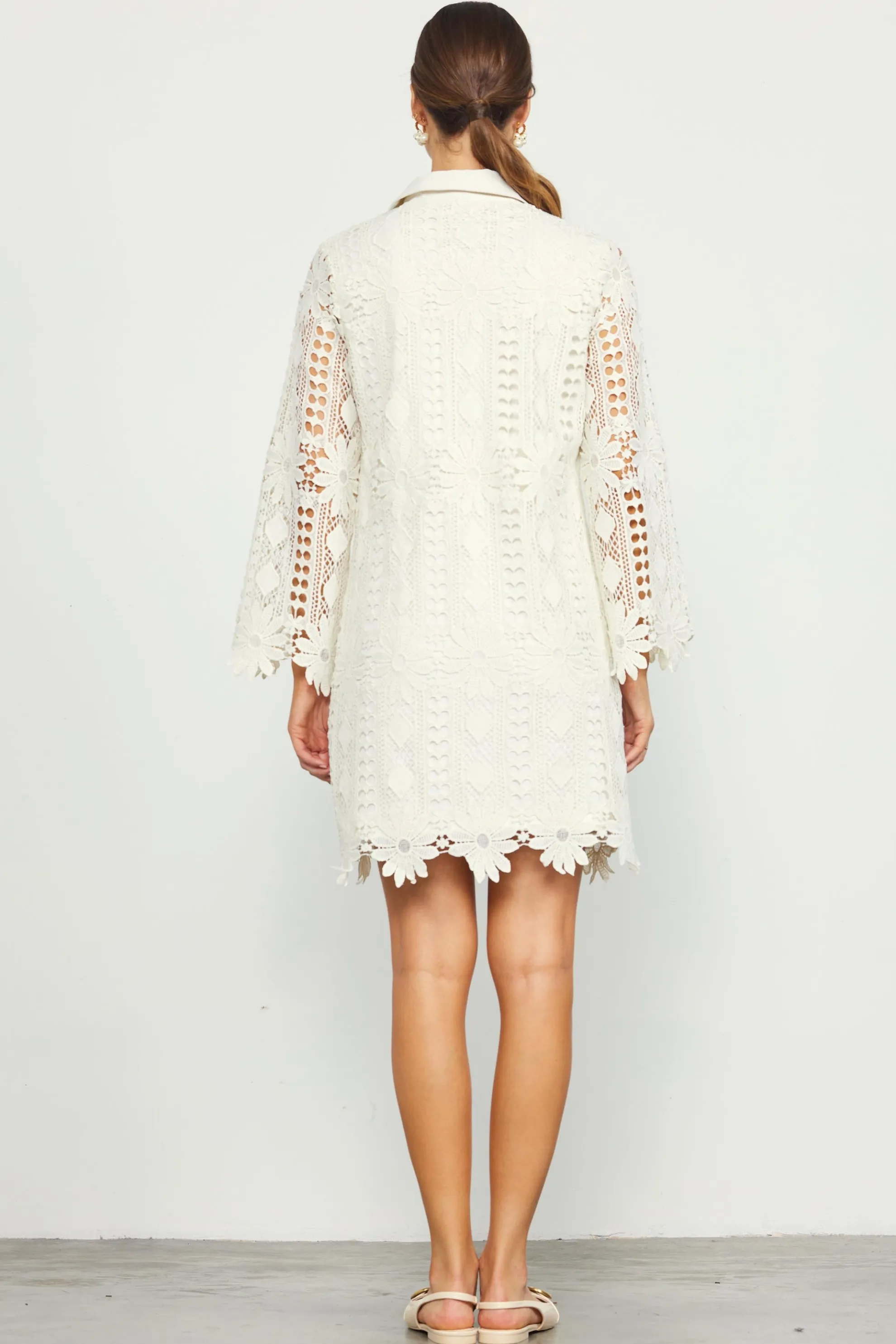 Embroidered Eyelet Lace Mini Dress