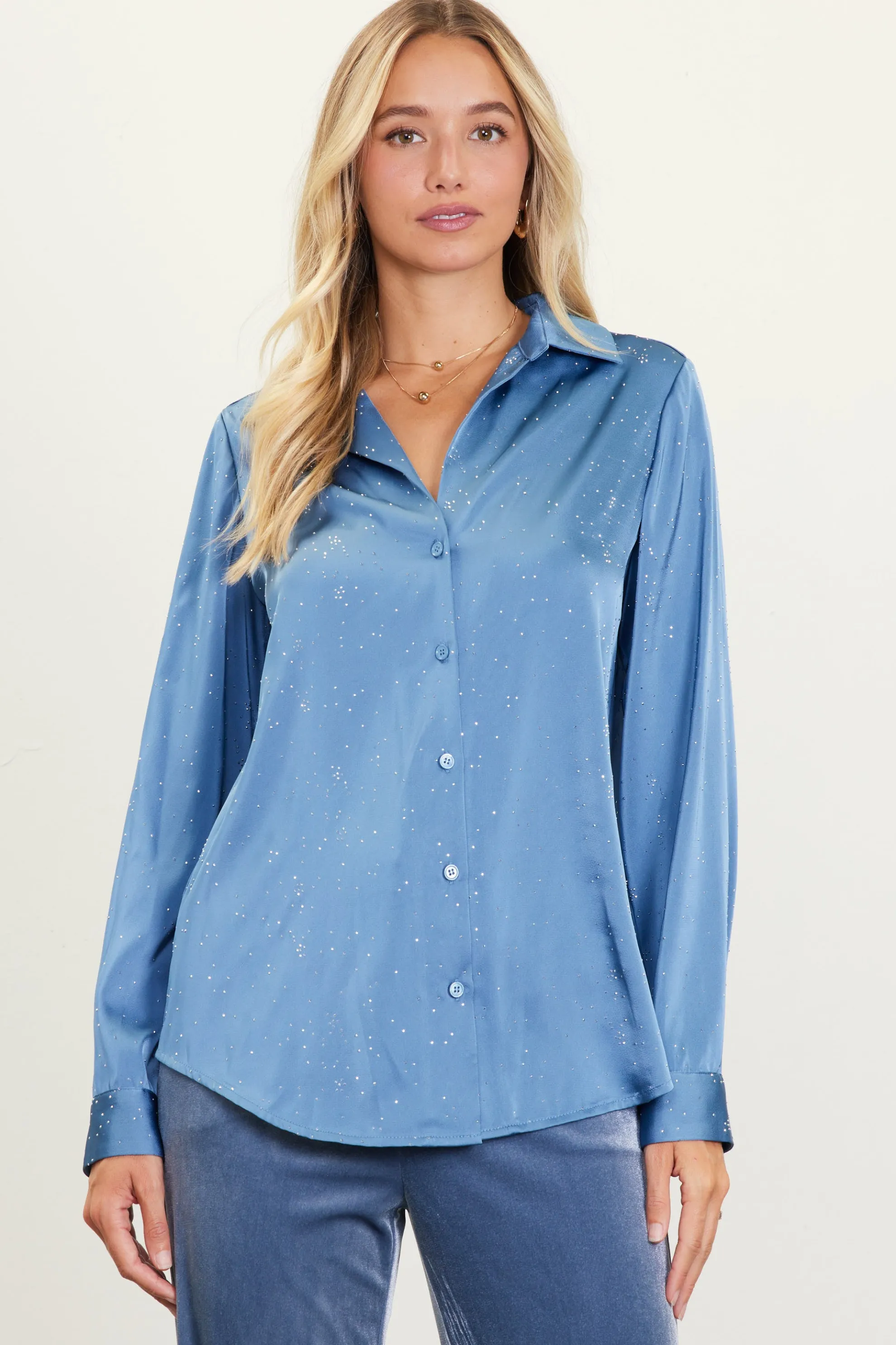 Shimmery Button Down Blouse